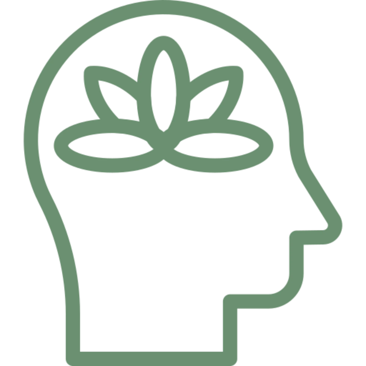 peace of mind 1